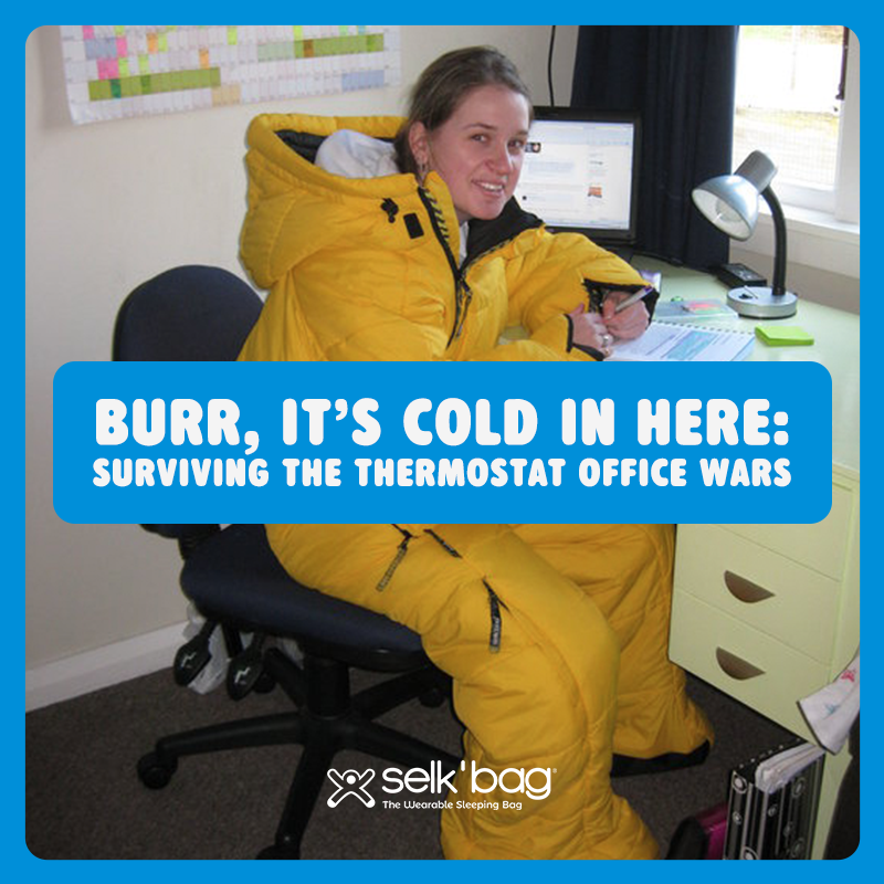 Burr, It’s Cold in Here: Surviving the Thermostat Office Wars