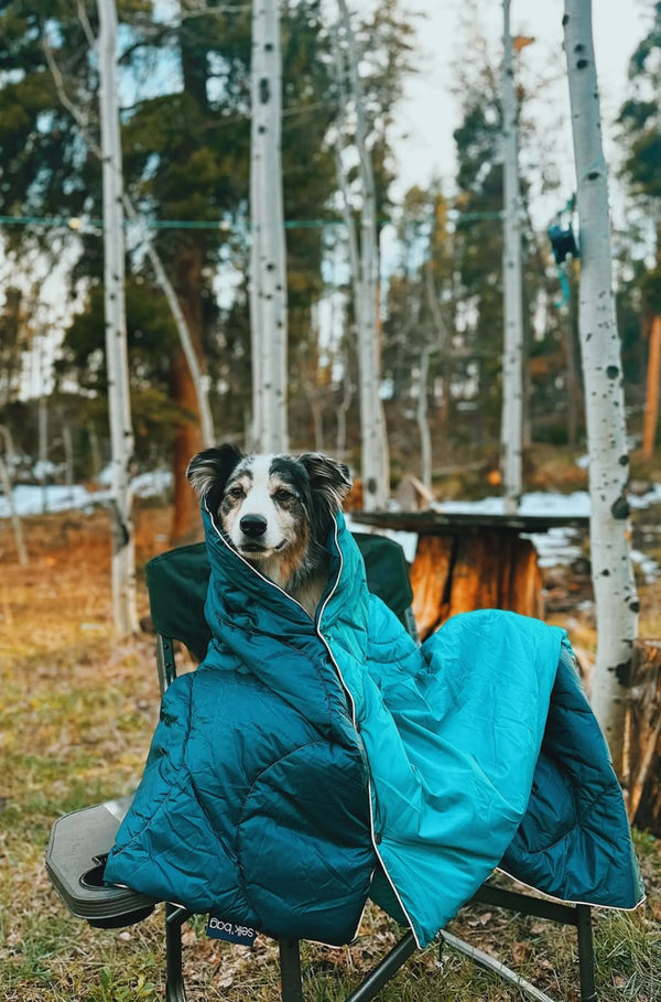 Blankets